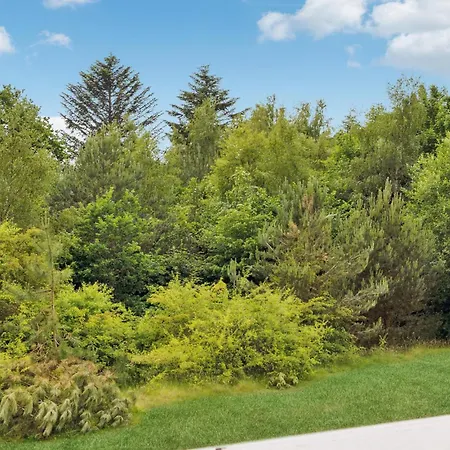 In With Wifi Ferienhaus